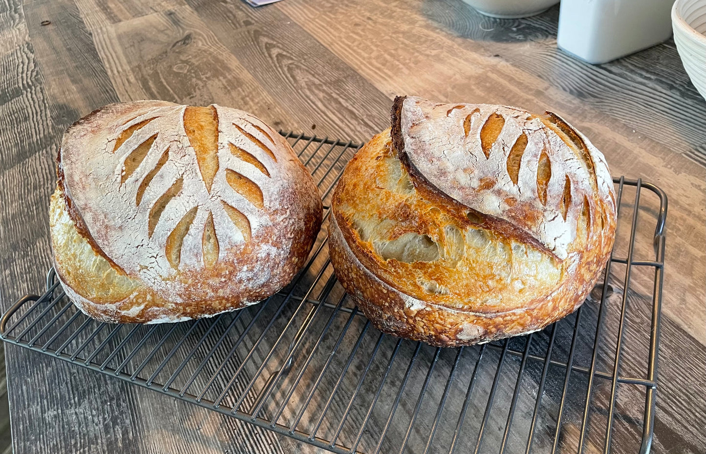 Rosemary Garlic Sourdough