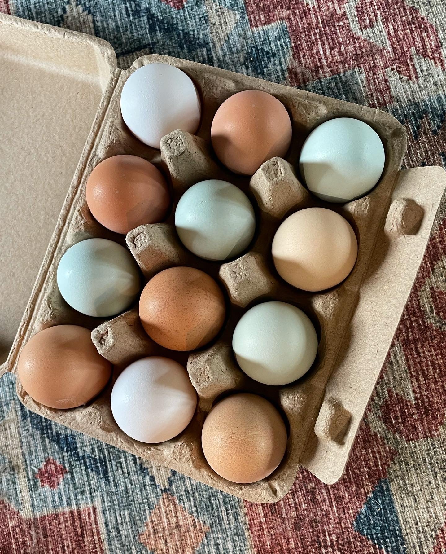 Farm Fresh Eggs