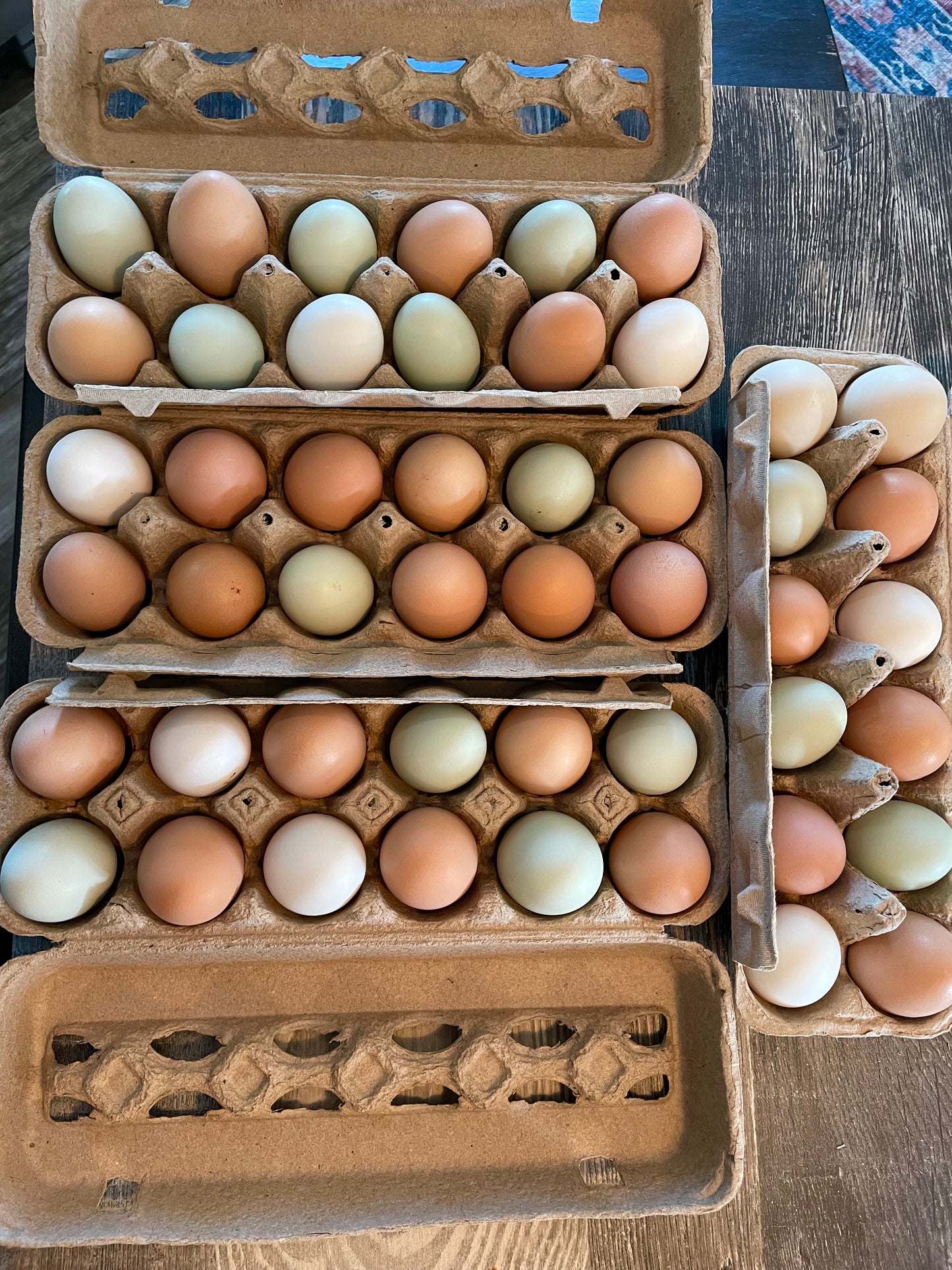 Farm Fresh Eggs