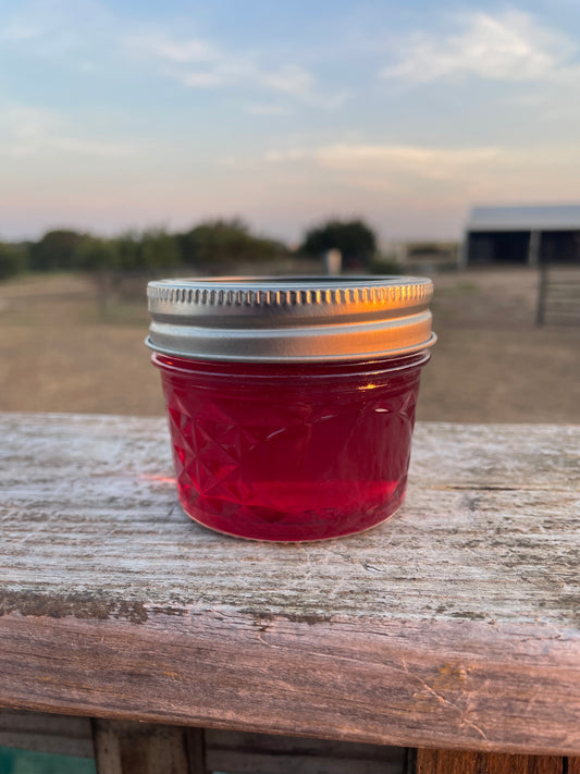 Prickly Pear Jelly