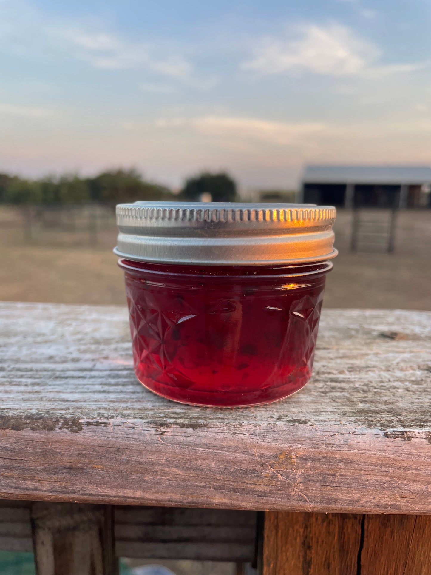 Prickly Pear Jalapeño Jelly